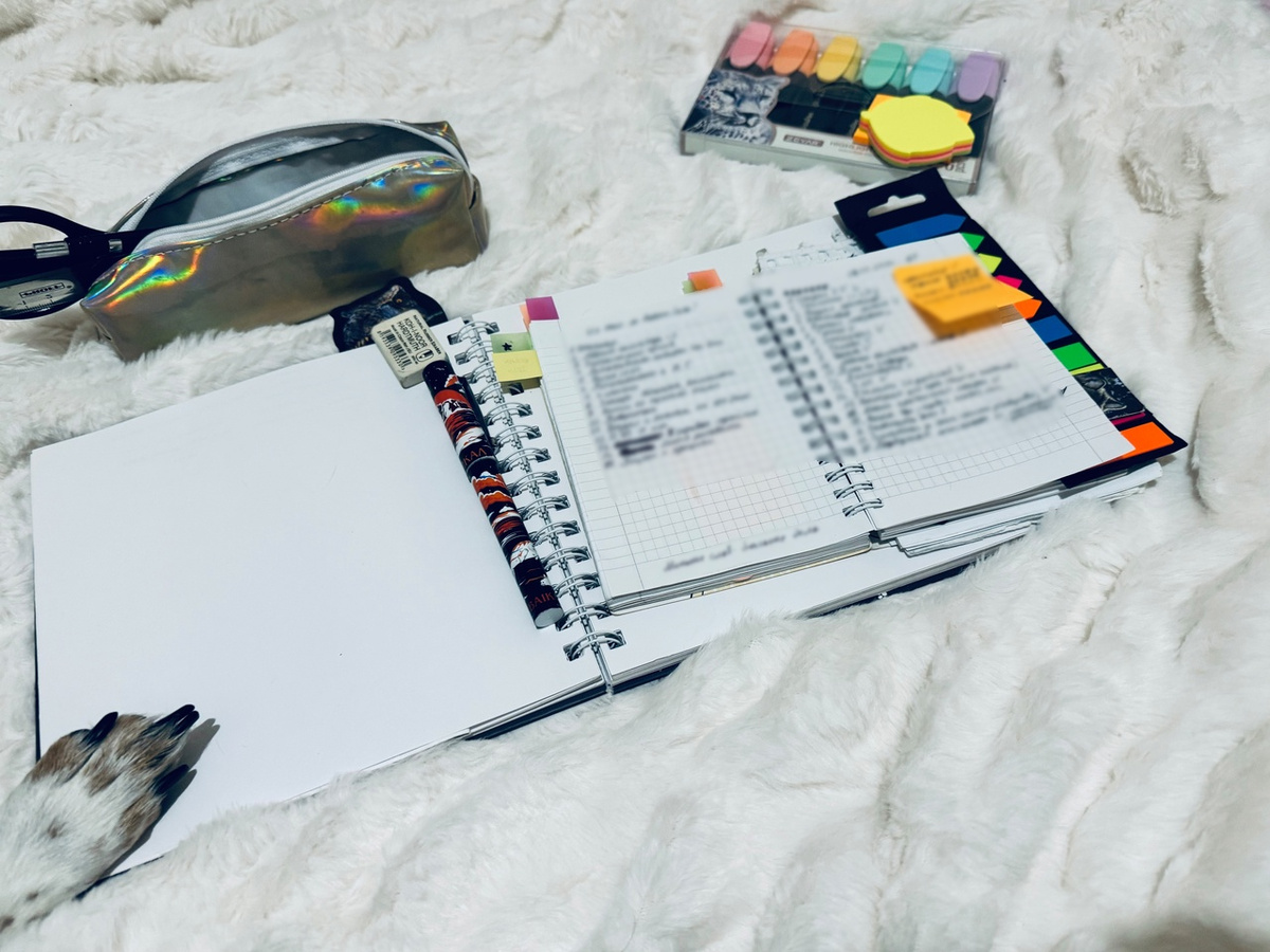 Это моя позавчерашняя подготовка к челленджу. Причем, лапу я увидела уже постфактум на фото в обработке. Ладно, я та еще собака.