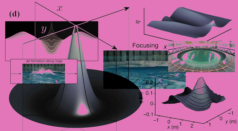   N + 1; Mark McAllister et al. / Nature, 2024