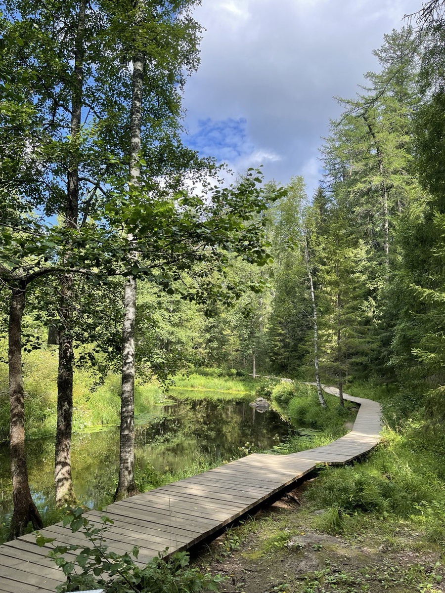 На пути встречаются большущие муравейники и плотина бобров.