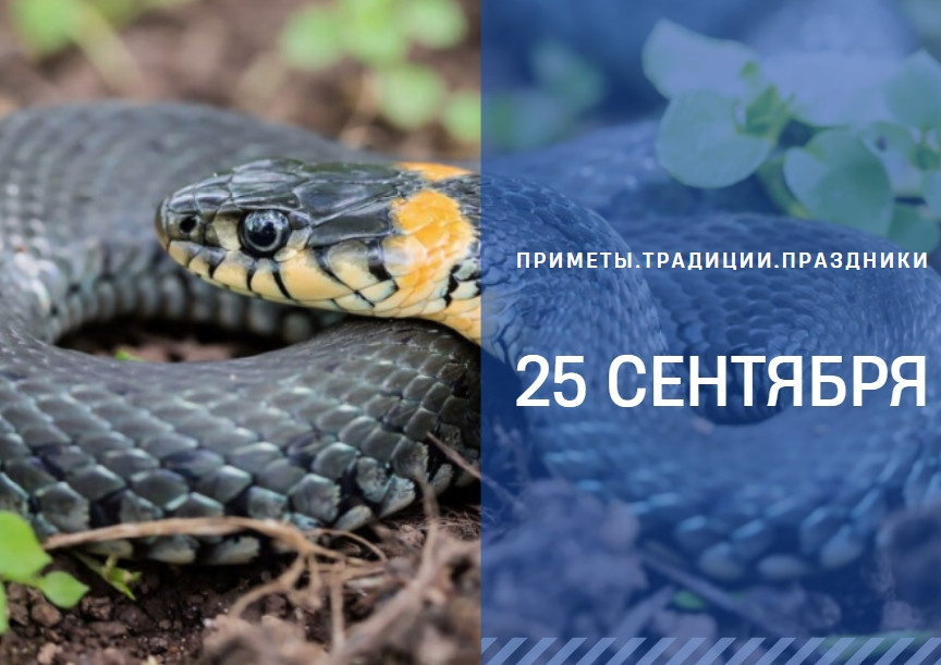   ГТРК "Ставрополье"