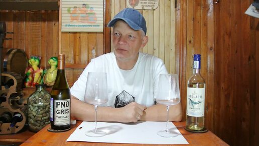 Stelaris Pinot Grigio ЮАР 699р из КиБ против THE PASS PINOT GRIS Новая Зеландия из Алкотеки 890 руб.