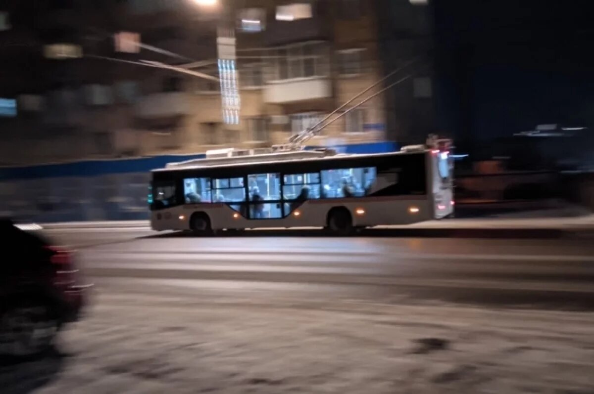    Новые троллейбусы запустят в новосибирские “Снегири” и “Родники”