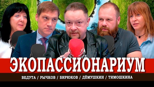 下载视频: В омуте экономических иллюзий, или Русская жизнь здорового человека