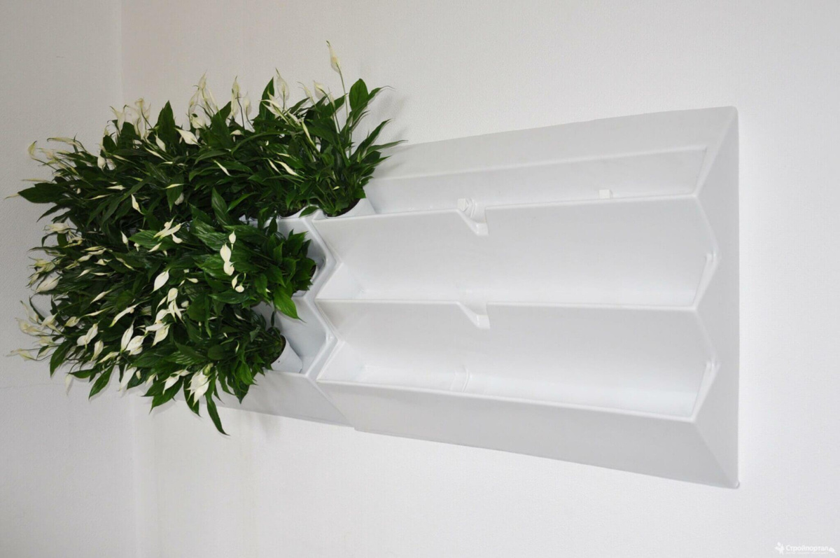 Фитомодуль позволяет создавать живые стены из разных растений