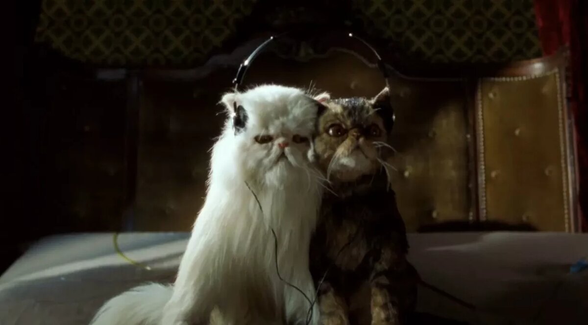 Фото: Кадр из к/ф «Кошки против собак»