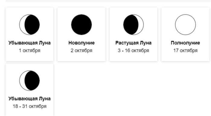 Скриншот из интернета. Картинка 2