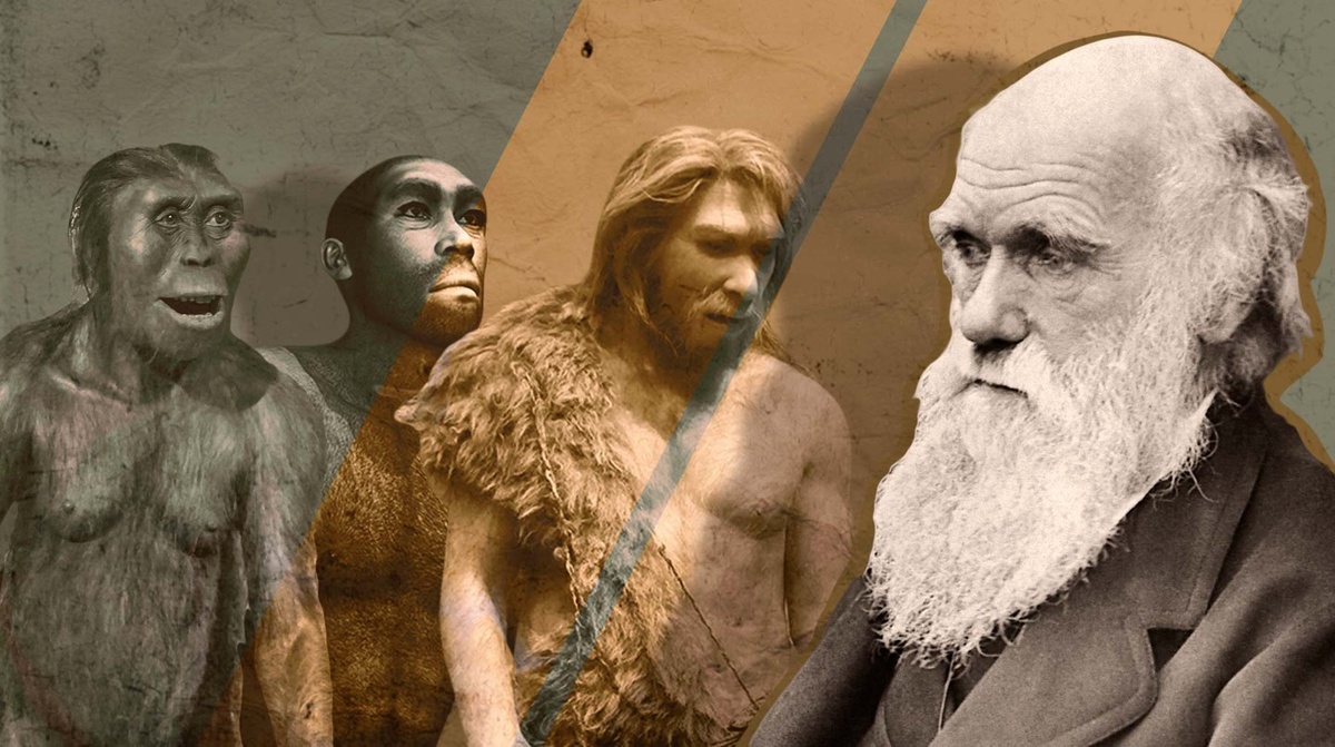    Коллаж: Daily Storm