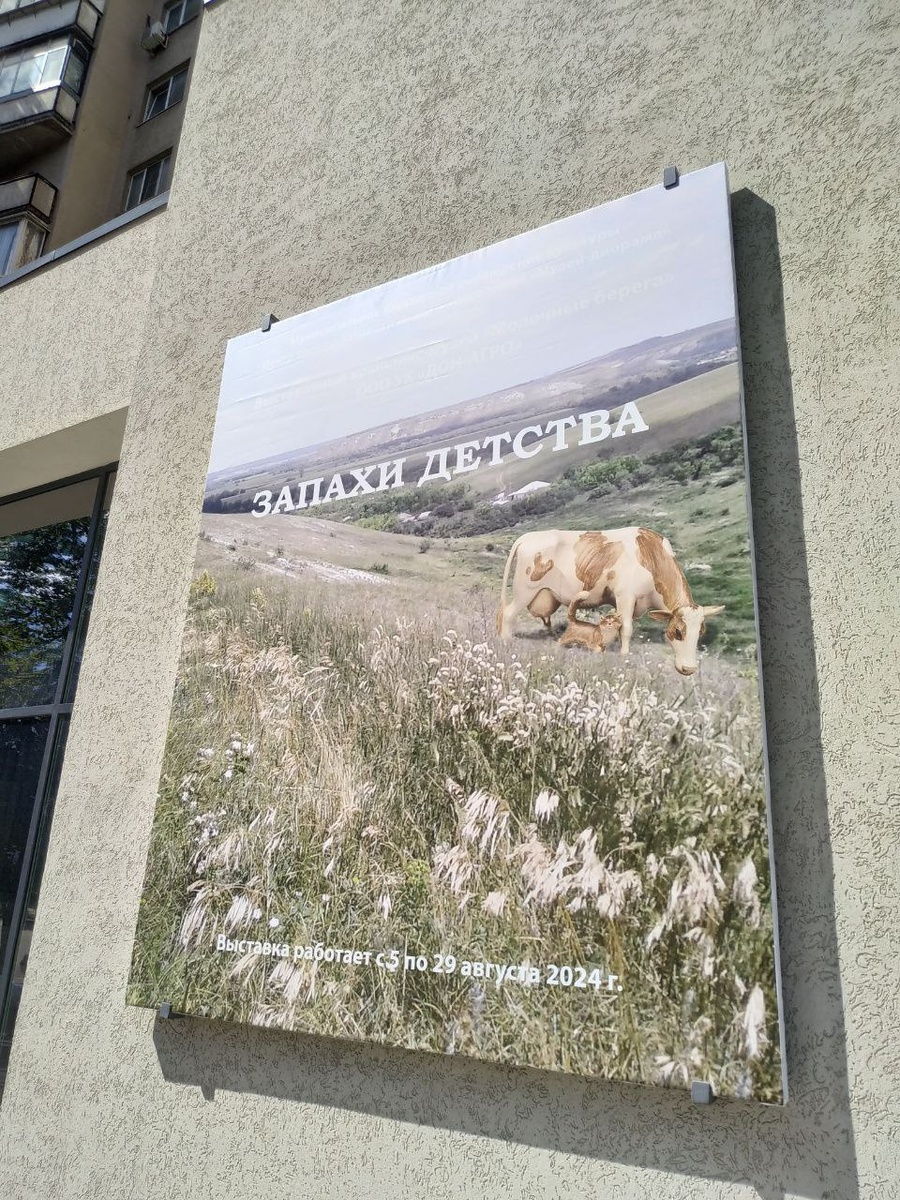 10.08.2024. © Фотограф Семененко А. А. Ссылка обязательна.