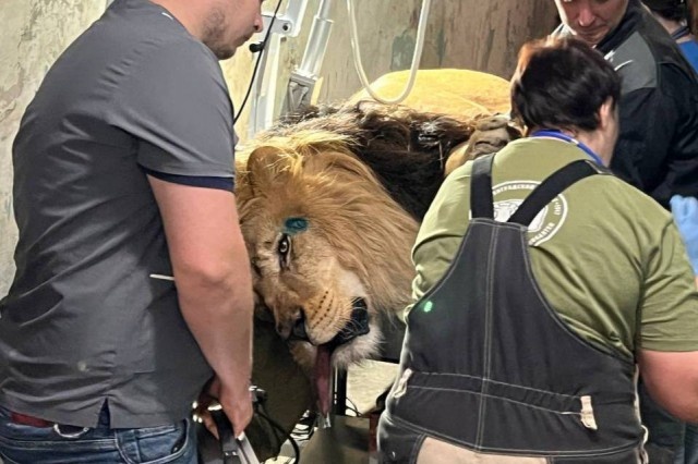   Фото: телеграм-канал Светланы Соколовой