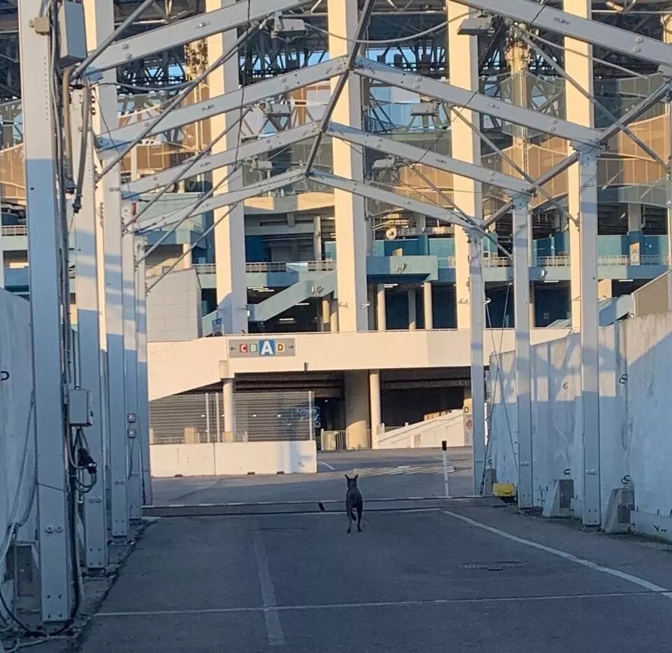     Источник: Telegram-канал «Нижегородская ярмарка»