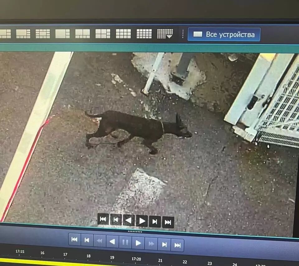     Источник: Telegram-канал «Нижегородская ярмарка»