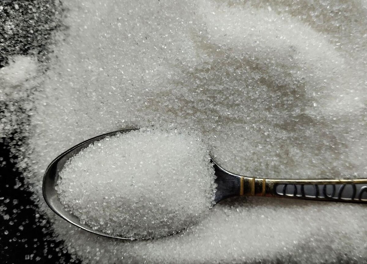 Фото: АПК Новости