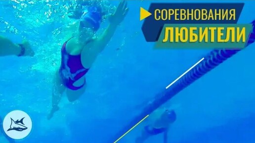 Silver Swim Cup vol.6 Соревнования по плаванию для взрослых. Плавание в Москве