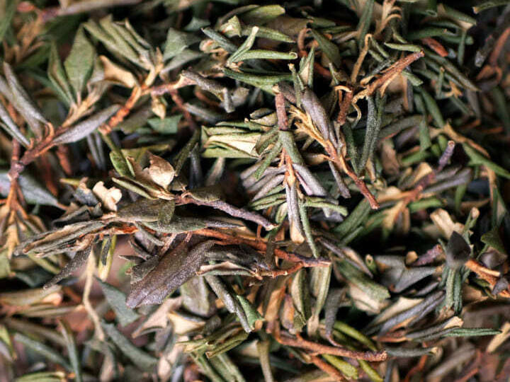 Саган Дайля - сибирский эликсир здоровья и бодрости