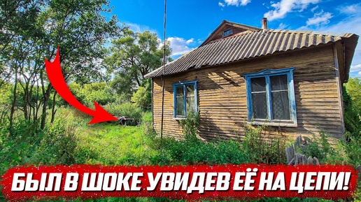 Tải video: Был в шоке, увидев её на цепи