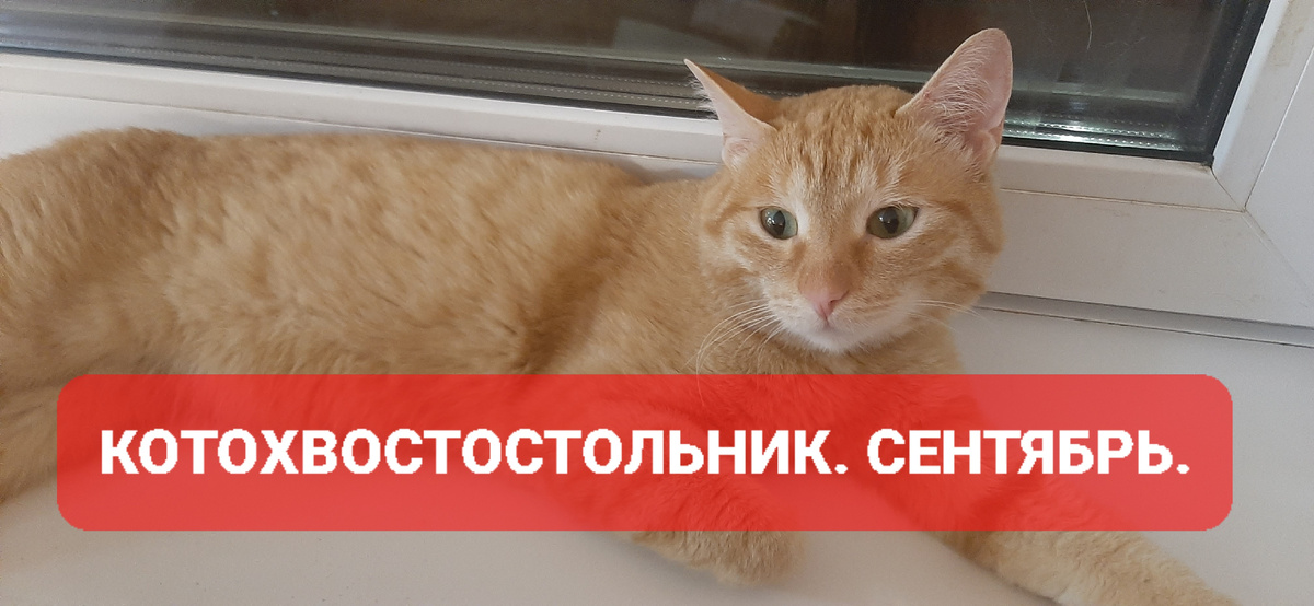 Гаражкин Расти.