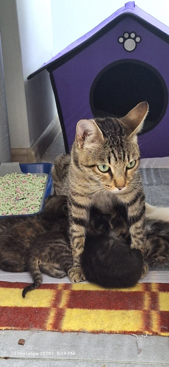 Лена и мелочь