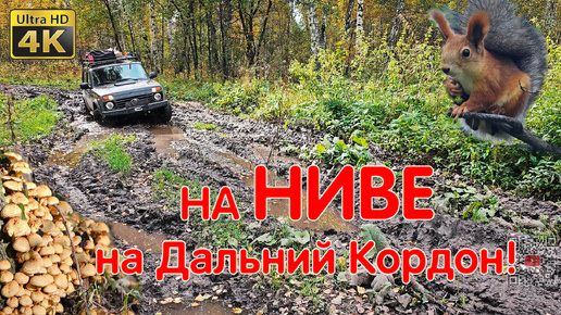 Descargar video: Красивая Осень Сибири! На Дальний Кордон За Грибами! НИВА ЛЕГЕНДА Едет! Преодолеваем Бездорожье LADA