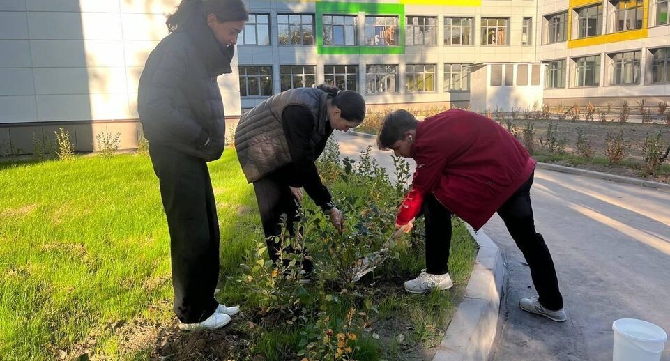    Управление образования Павлово-Посадского городского округа