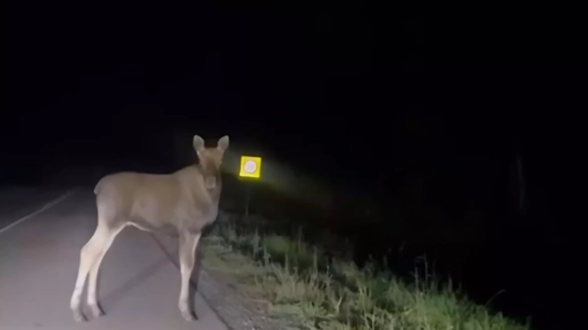     Источник: Соцсети