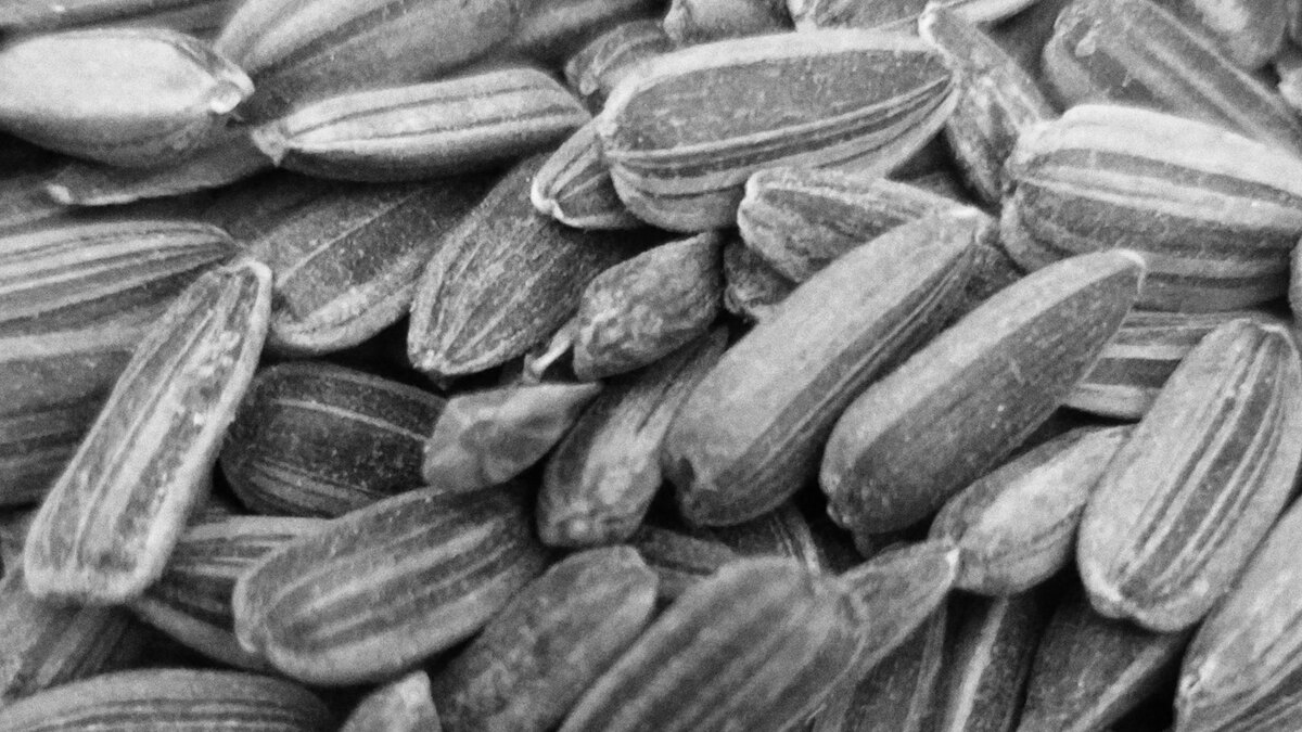 Фото: unsplash.com 