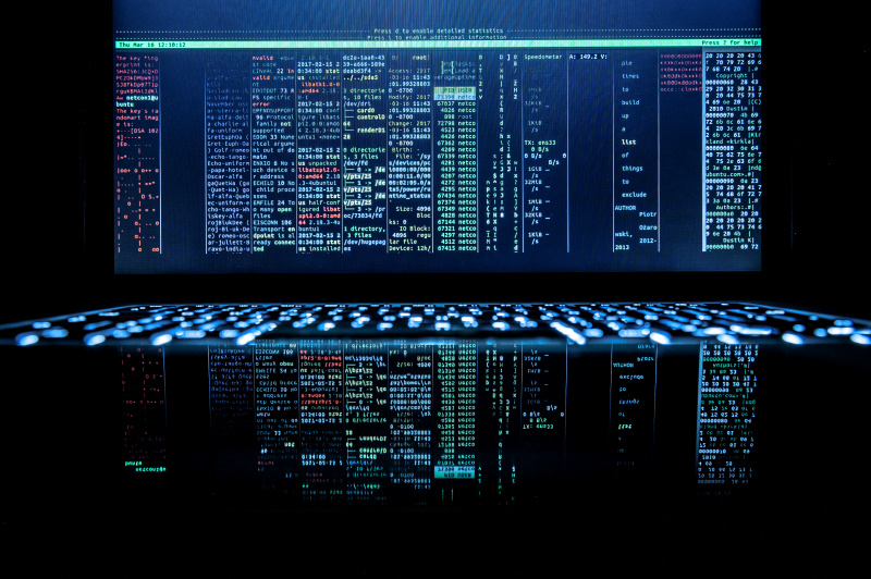    Фото: Silas Stein/Globallookpress