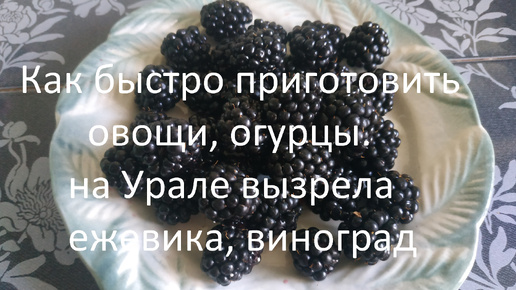 Как быстро приготовить овощи, огурцы. // На Урале вызрела ежевика, виноград