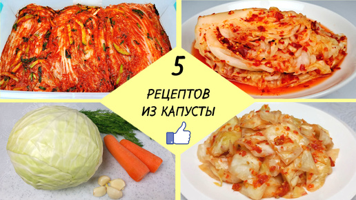 КАК ПРИГОТОВИТЬ КАПУСТУ - 5 простых рецептов ❗ Готовим Вкусную Капусту - легко и доступно