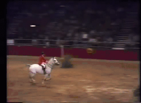 Прыжок высотой 2,32м. Ник Скелтон и Эверест Ластик, 1978