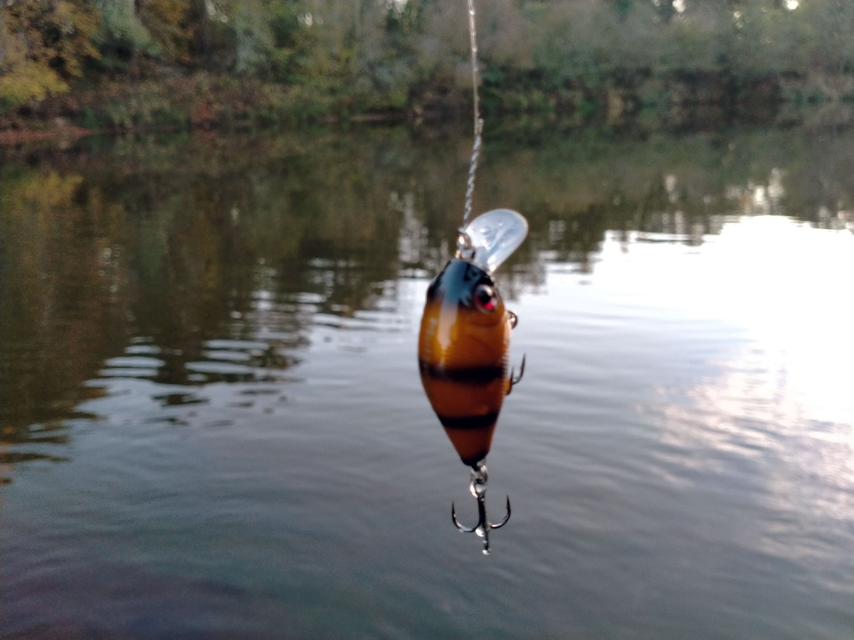 Воблер Mottomo Smurf 40F 7,0g Bumblebee