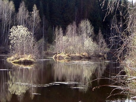 фото из сети