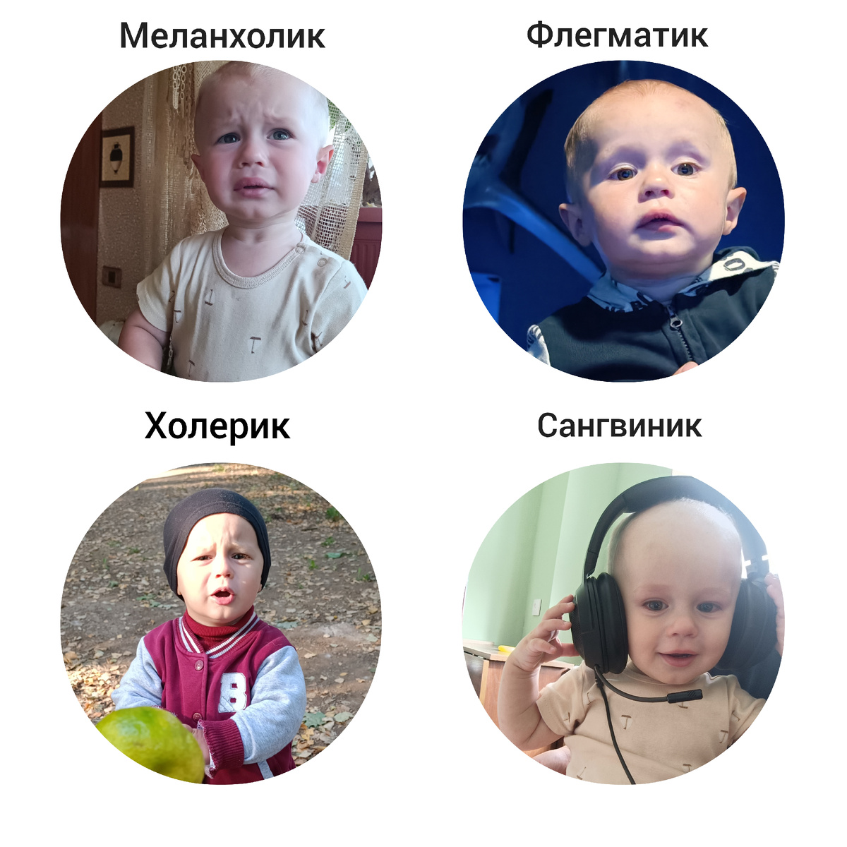 Типы темперамента по версии моего сына