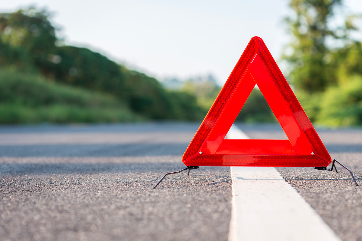    Фото: SKT Studio / Shutterstock.com