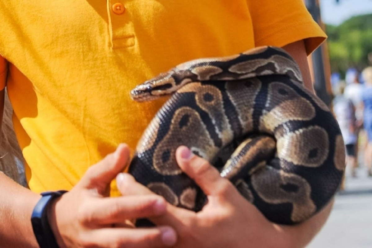 © Фото: ИД «Волгоградская правда» / архив