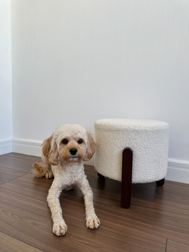 Источник: https://vk.com/sin_official?ysclid=m1ihktthnq555330160