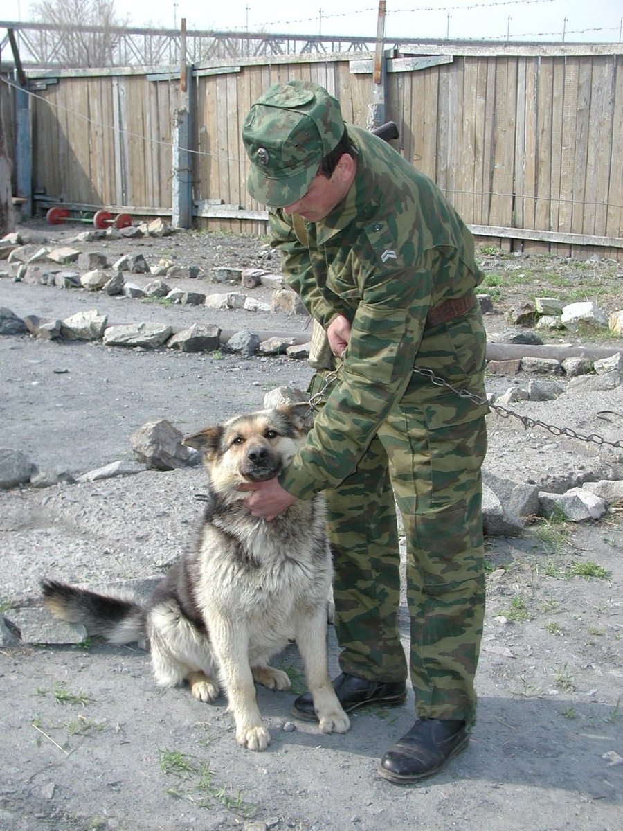 © Juri Zolotarev Russian Look/Globallookpress  