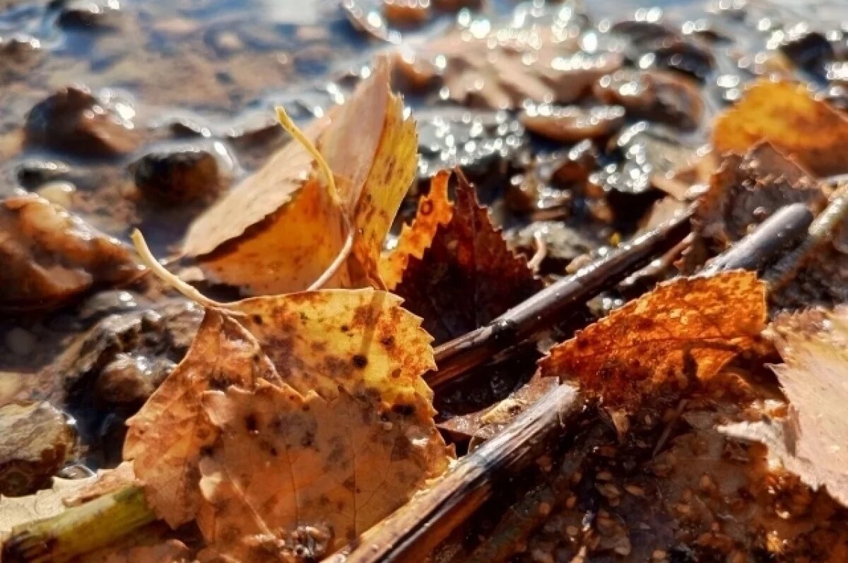    Жителям Приморья советуют утепляться, скоро край накроет арктический холод