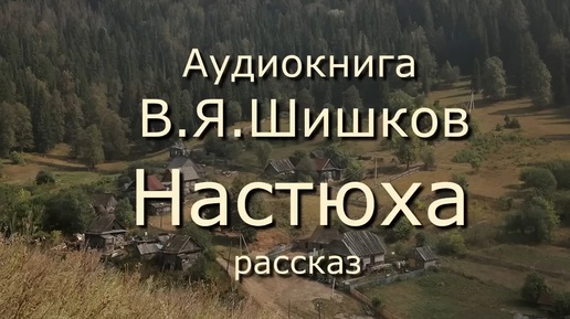 Аудиокнига В.Я.Шишков _Настюха_ курьёзный рассказ. Читает Ю.Насыбуллин.