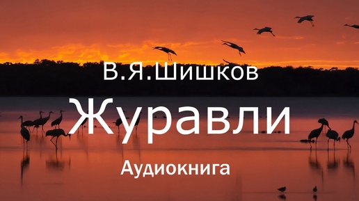 Аудиокнига Вячеслав Яковлевич Шишков _Журавли_ Читает Юрий Насыбуллин