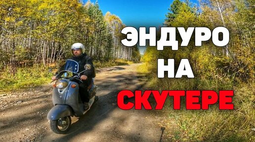 НА СКУТЕРЕ В ТАЙГУ