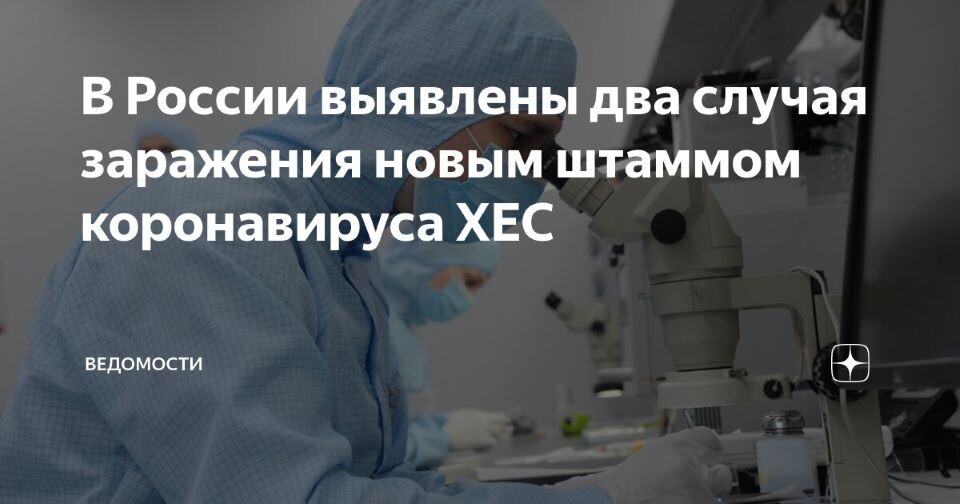 интернет-картинка
