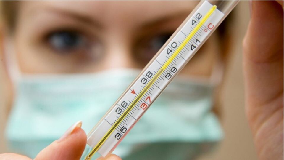    Грипп. Температура. Источник: Орен.Ру