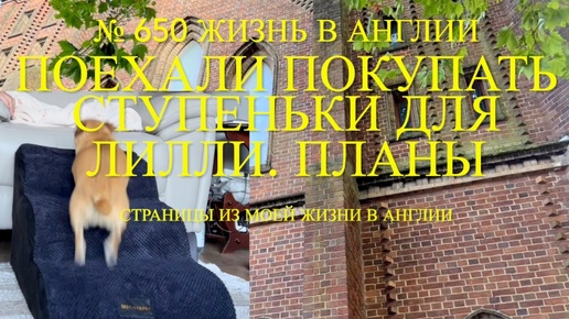 Поехали покупать ступеньки для Лилли. Планы на обустройство. № 650 Жизнь в Англии