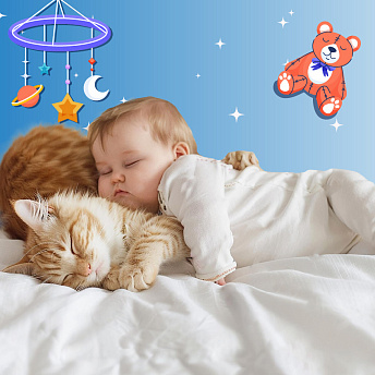 Реклама.ООО РЦ «Кневичи», ИНН 2543082634, erid: 2VtzqvWdwep