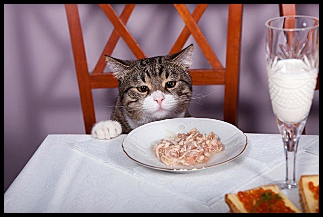 Ну и куда ты меня притащил?