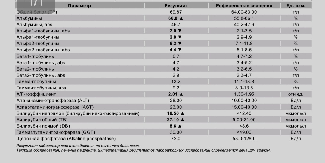 Мои результаты