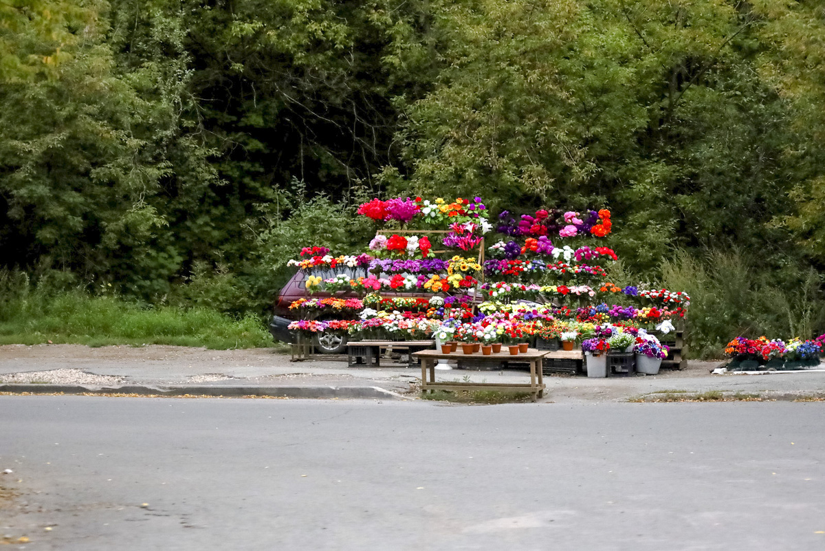 Мужчина вымогал взятки и совершал хищения.  Фото: Фото: ФедералПресс / Елена Майорова