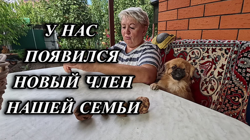 Video herunterladen: 688ч Живём на юге России/Переехали с Урала на Кубань/Интересное из нашей жизни