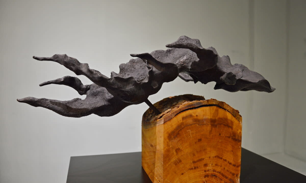 Фото: Антон Кокин