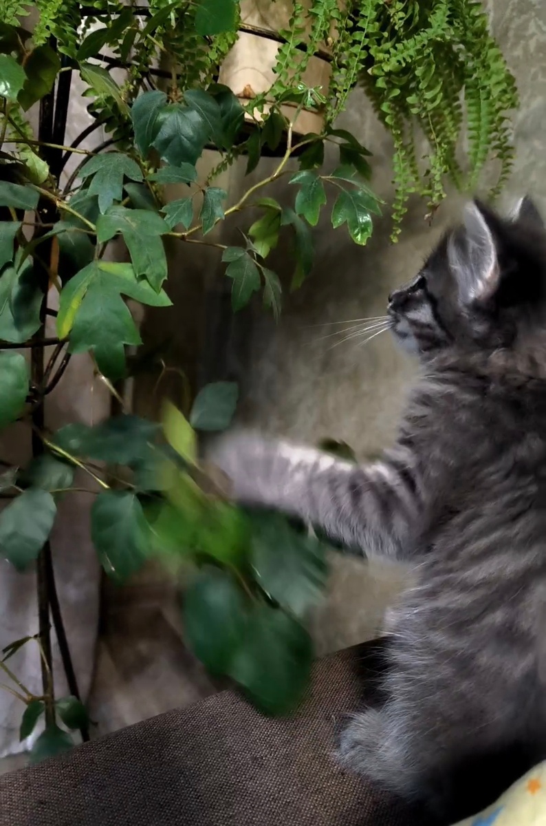 Всё фотографии в статье авторские. 